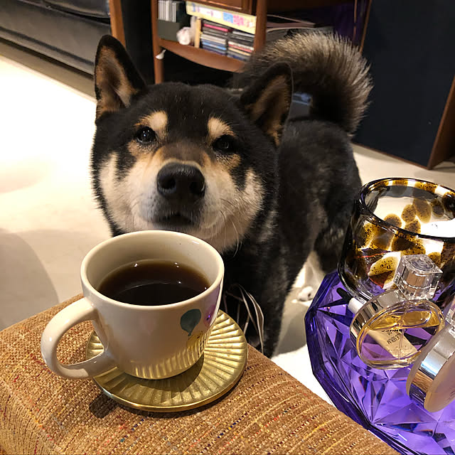 KATACHIさんの実例写真