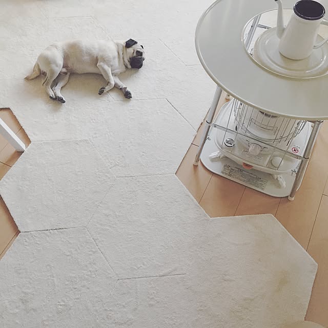 YUIさんの実例写真