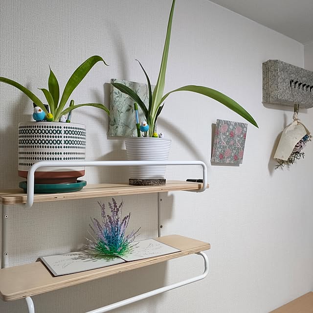 玄関/入り口/観葉植物のある暮らし/いいね、フォロー本当に感謝です♡/中古マンションリノベーション/好きなものに囲まれて暮らす...などのインテリア実例 - 2023-07-07 22:54:50