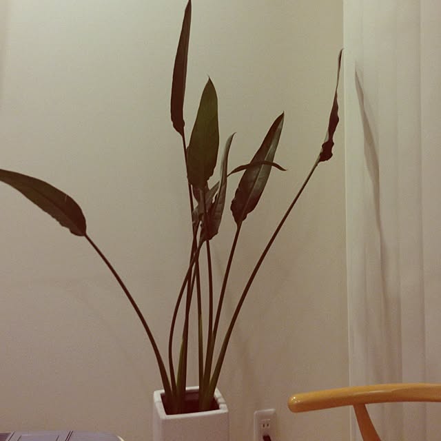 longriverさんの実例写真