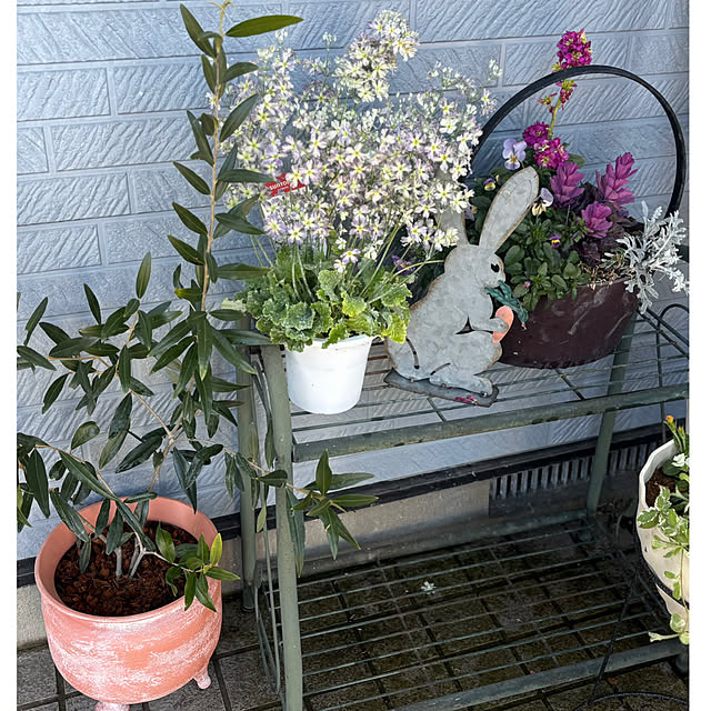 CoCo0617さんの部屋