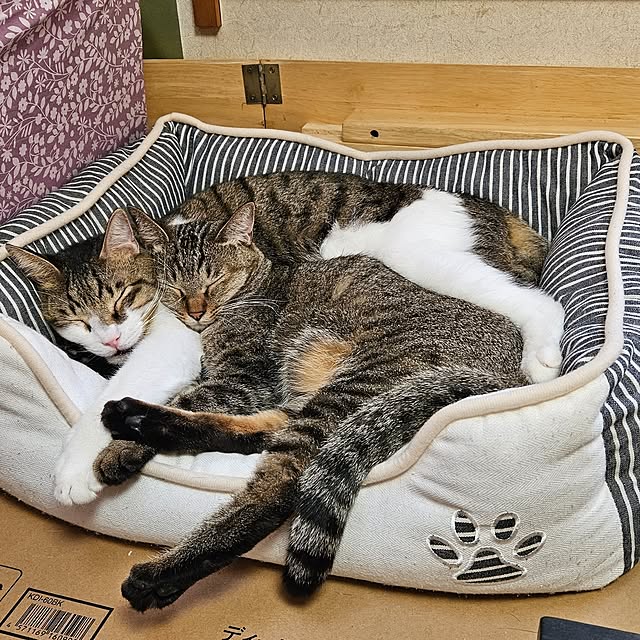 uenさんの部屋