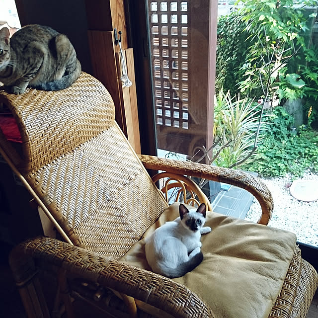 uchizukonyanさんの実例写真