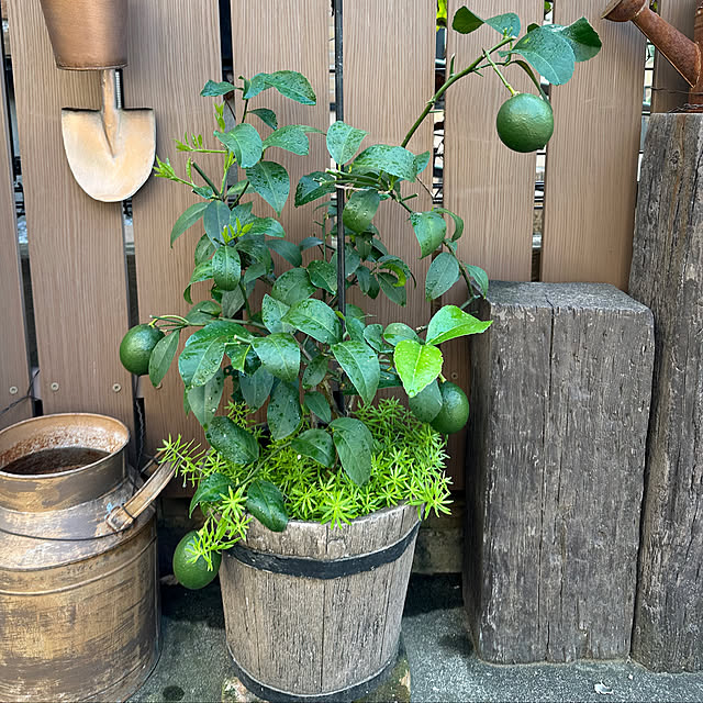 tabasaさんの部屋