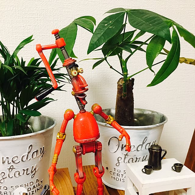 Remyさんの実例写真