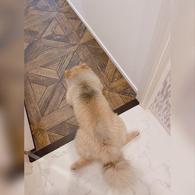 maruさんの実例写真