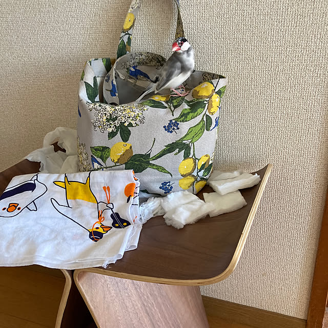 Lonさんの実例写真