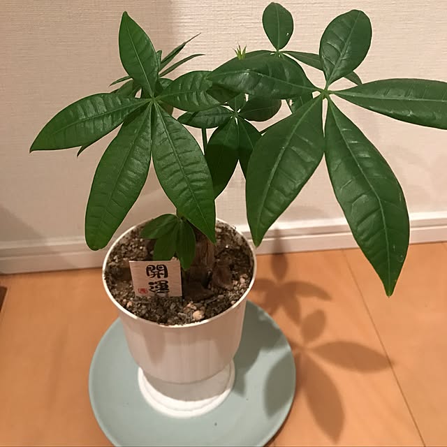 yui890912さんの実例写真