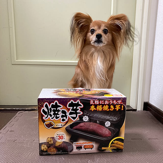 toratanさんの部屋