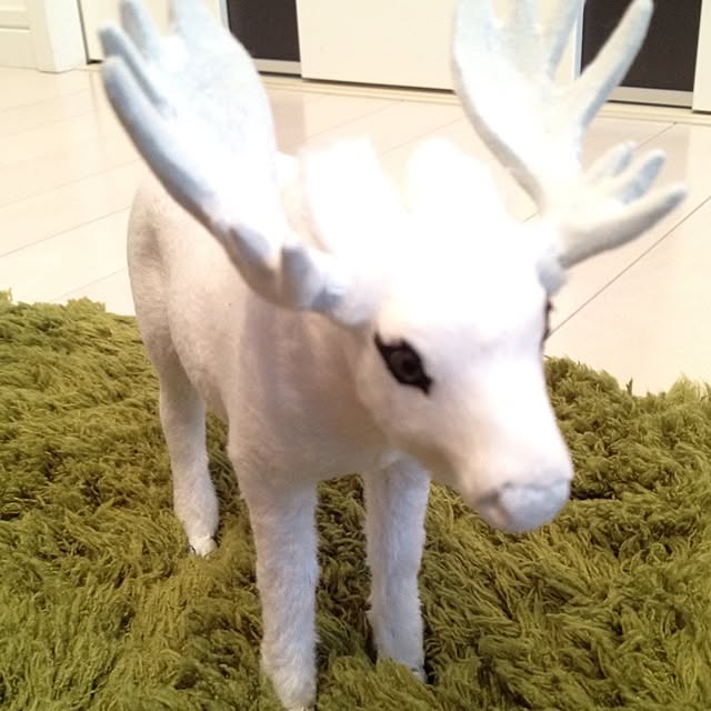 Nozomiさんの実例写真