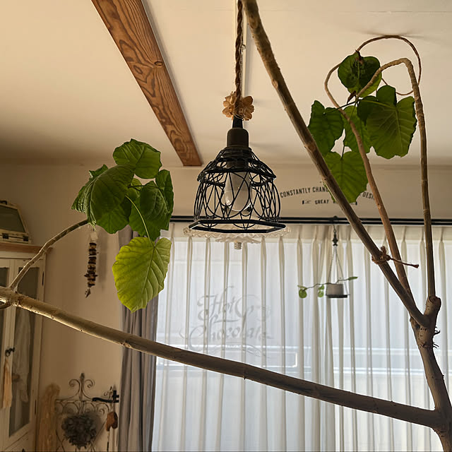 marmaladeさんの実例写真