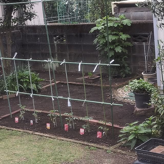 ramuramuさんの実例写真