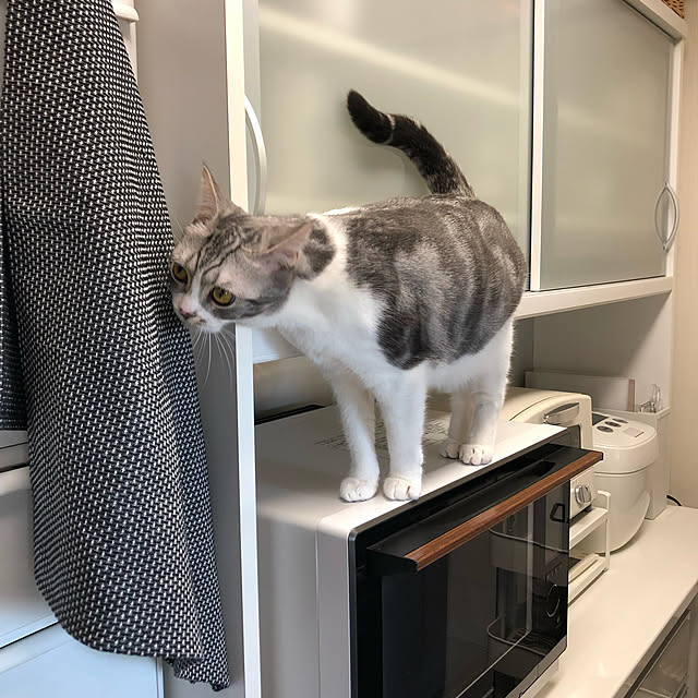 Atelier.mさんの実例写真