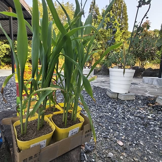 Rubiconさんの部屋