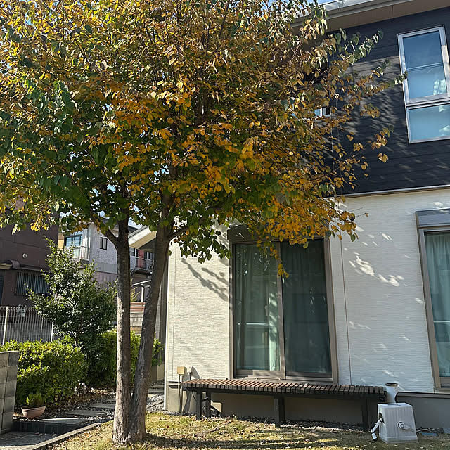 Taeさんの実例写真