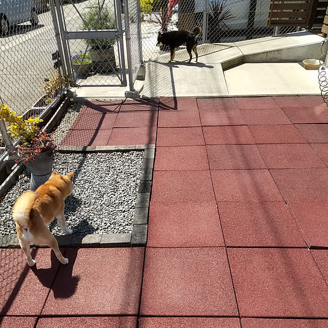 ponhanaさんの実例写真