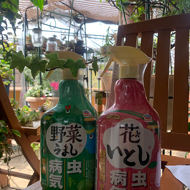 Aqettyさんの部屋