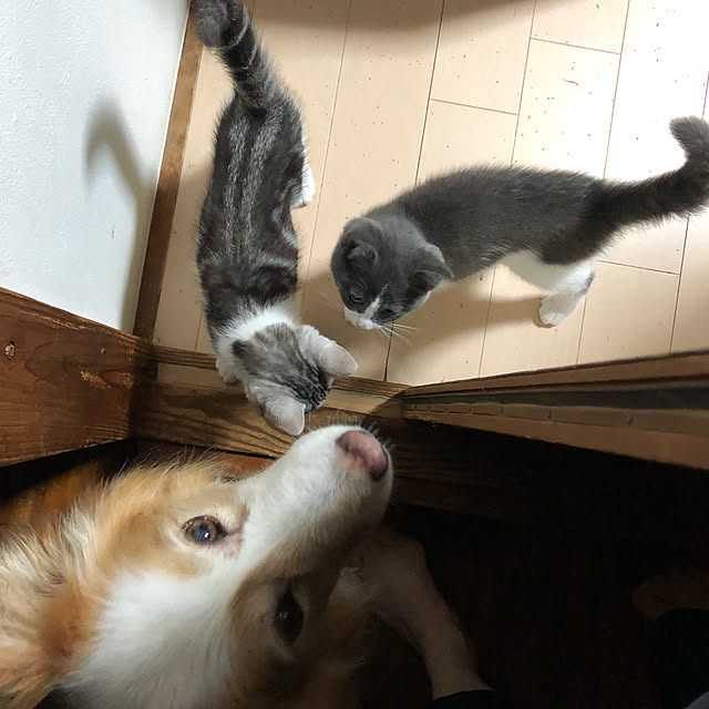 RUNRUNさんの実例写真