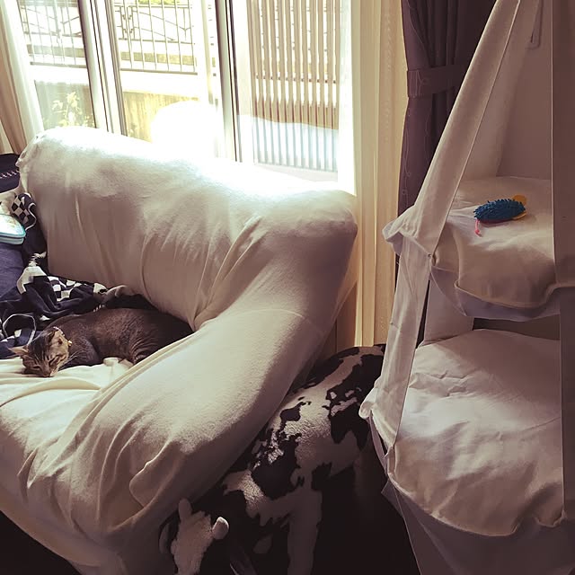 akkorosukeさんの実例写真