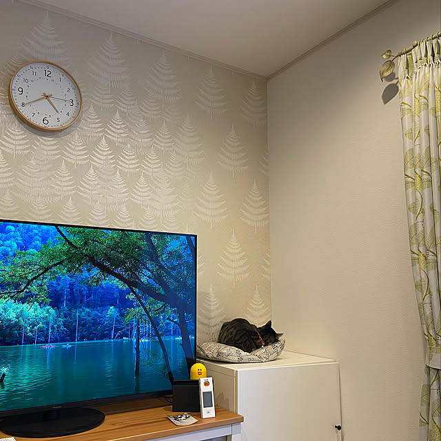 ippu0303Karinさんの実例写真