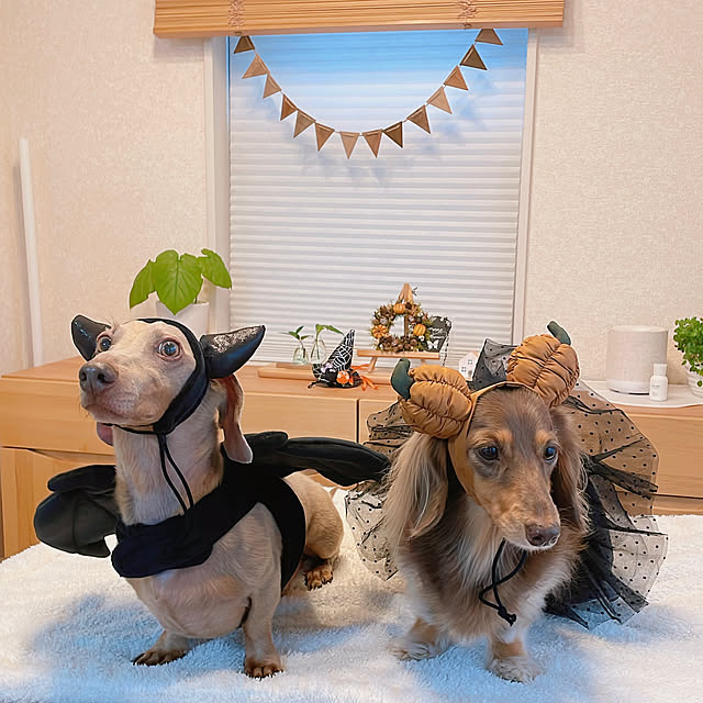 rinoさんの部屋