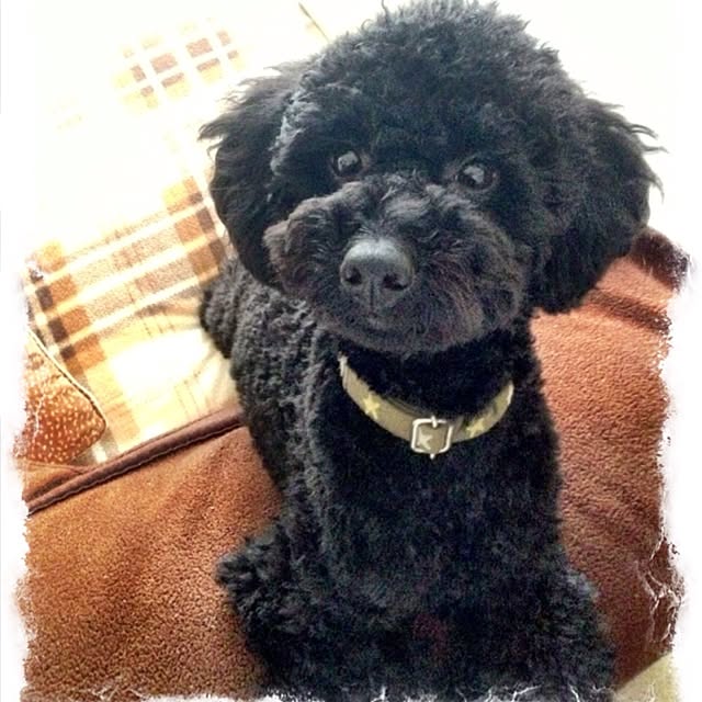 keitanさんの実例写真