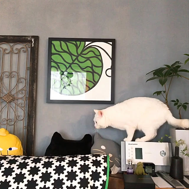 nyanko-beamさんの実例写真