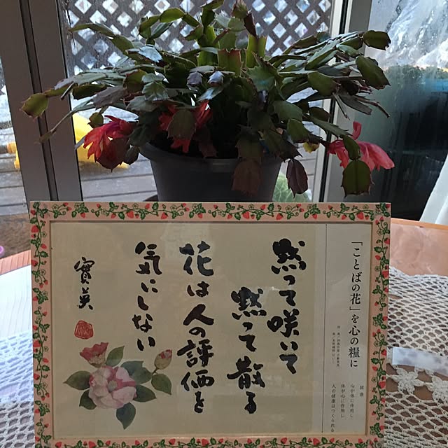 hirokoさんの実例写真
