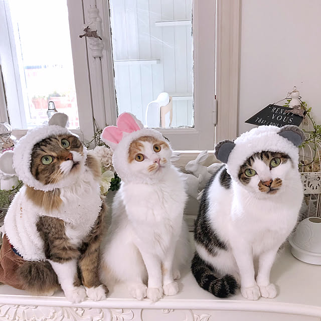yuchiさんの実例写真