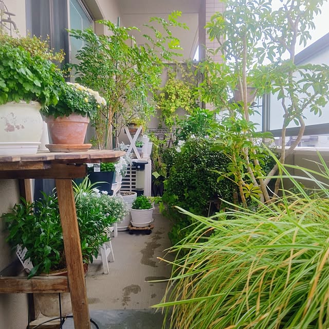 YuriYuriさんの部屋