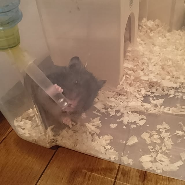 Matsu62さんの実例写真