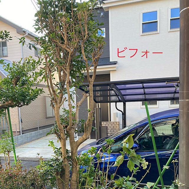 shoさんの実例写真