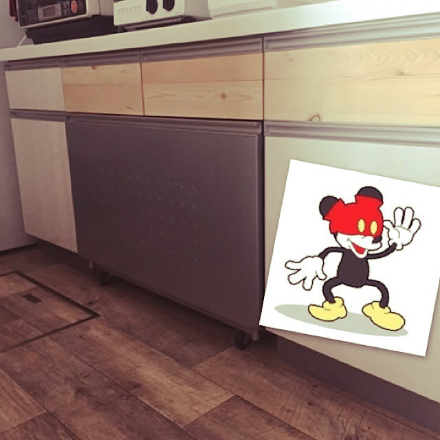 disk1mauloaさんの実例写真