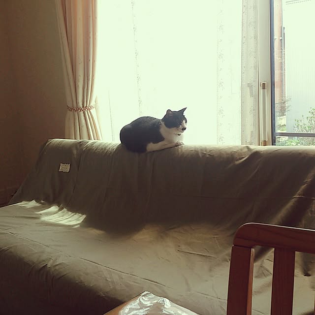 oliveさんの実例写真