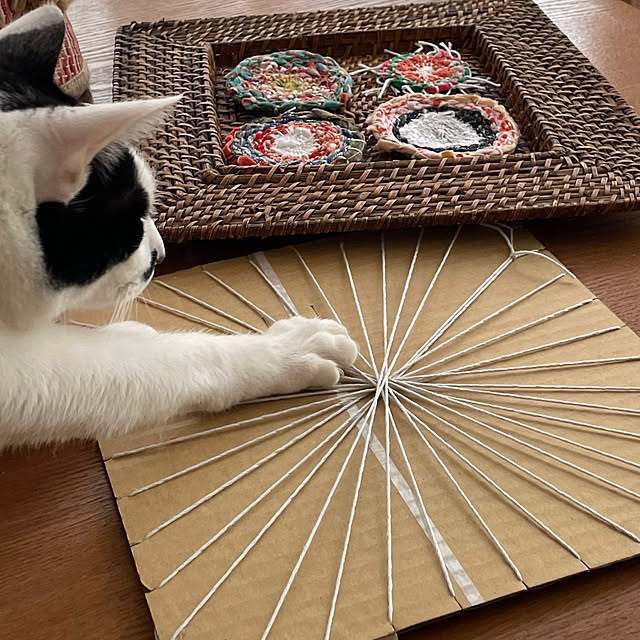 nobikoさんの部屋