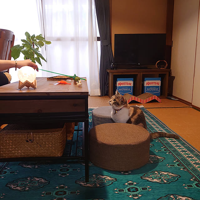 fukuさんの実例写真