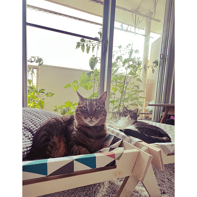 sumoanzuさんの実例写真