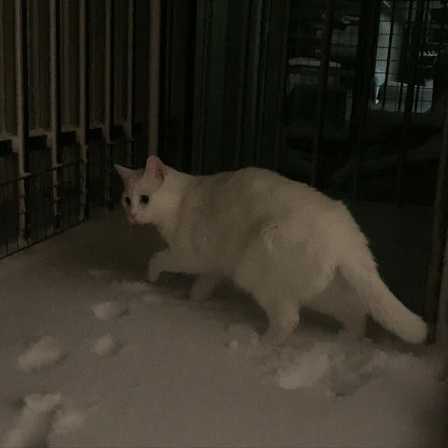 keiさんの実例写真