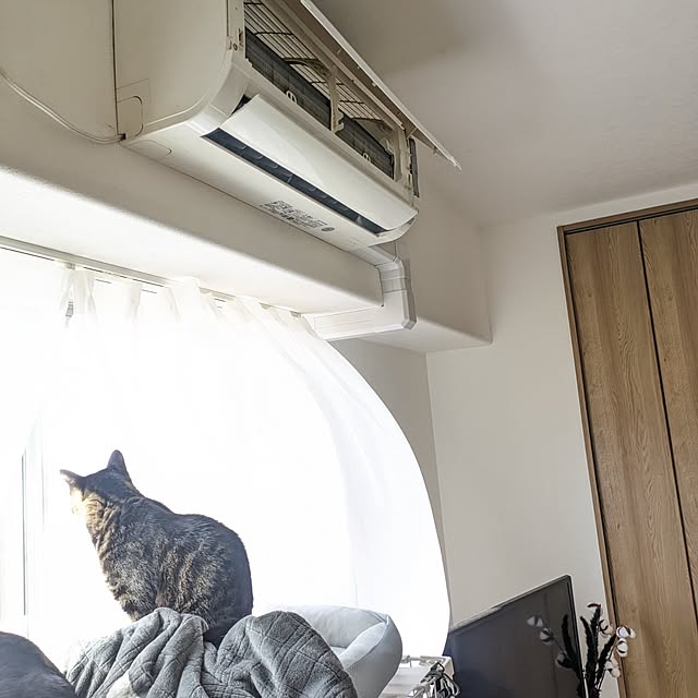 hihaさんの部屋