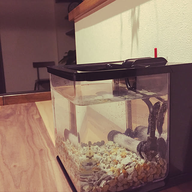 koroさんの実例写真
