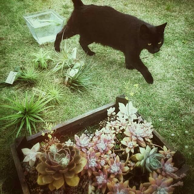 weさんの実例写真