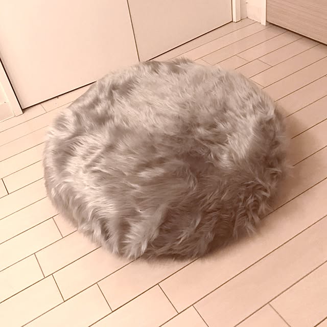 rayjyuさんの実例写真