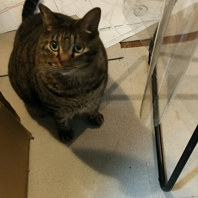 mori_6_12さんの部屋