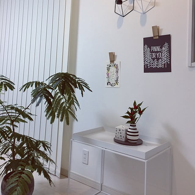 zukkoさんの実例写真