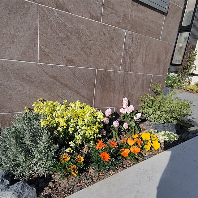 ayan-green.さんの実例写真