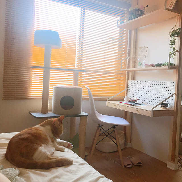 maruさんの実例写真