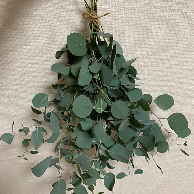 jeyさんの実例写真