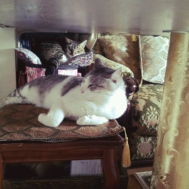 emmyyさんの実例写真