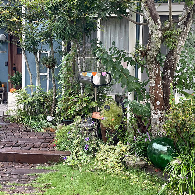 nobikoさんの部屋