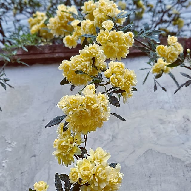 mocomocoさんの部屋